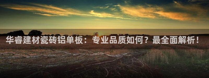 杏鑫平台怎么样知乎