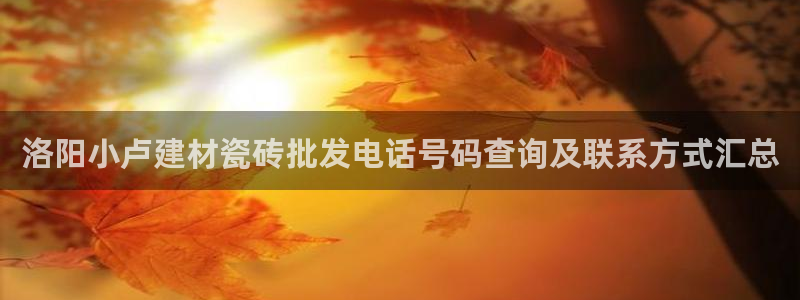 杏鑫有亏损返点吗